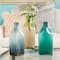 CosmoLiving by Cosmopolitan Multi Colored Coastal Glass Vase Set